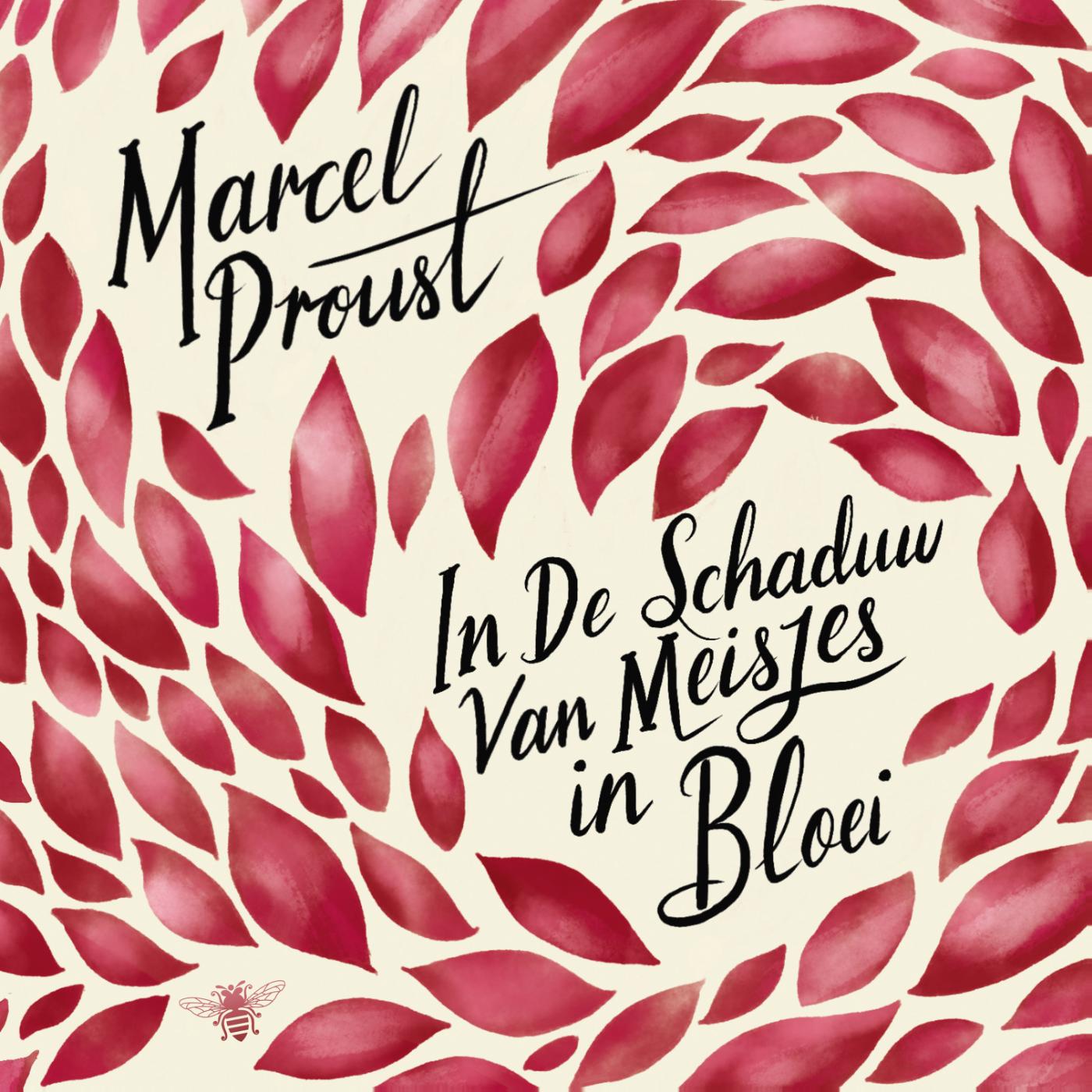 Omslag van In de schaduw van meisjes in bloei