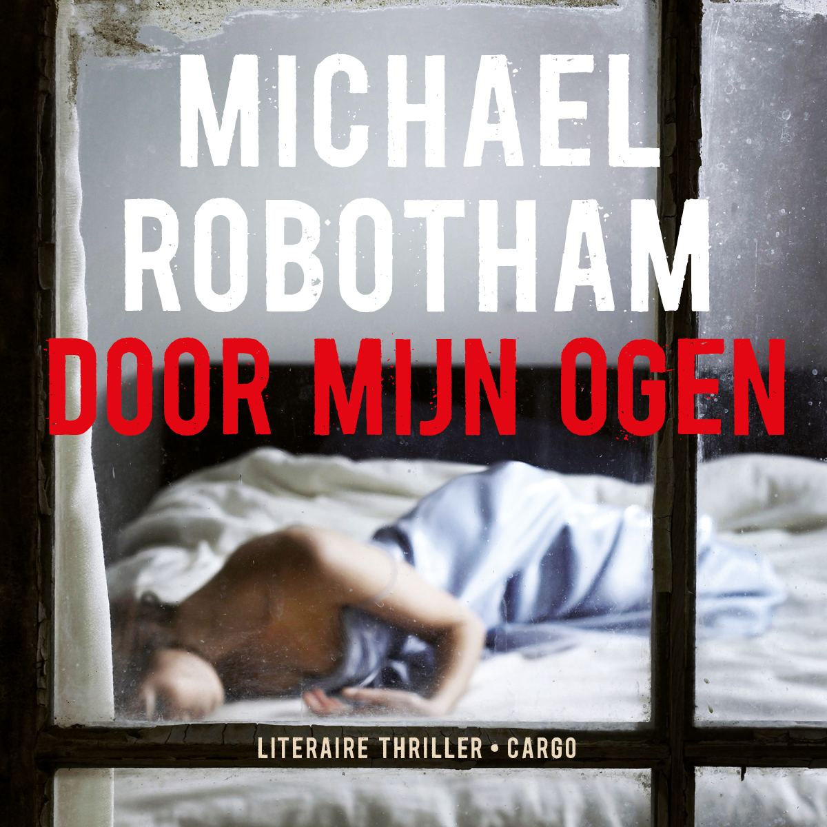 Omslag van Door mijn ogen