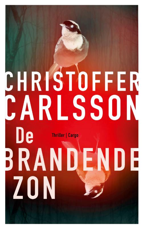 Omslag van De brandende zon