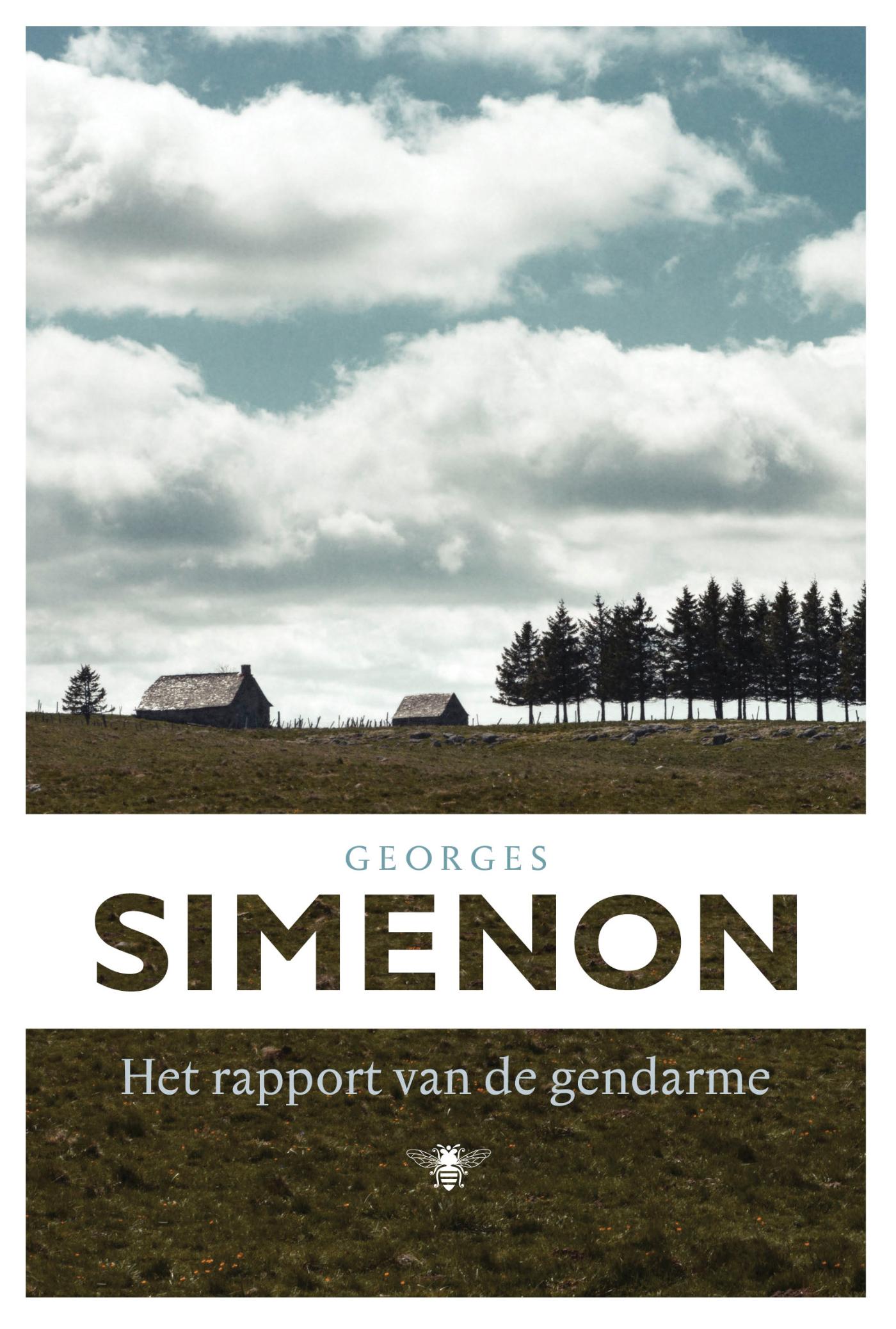 Omslag van Het rapport van de gendarme