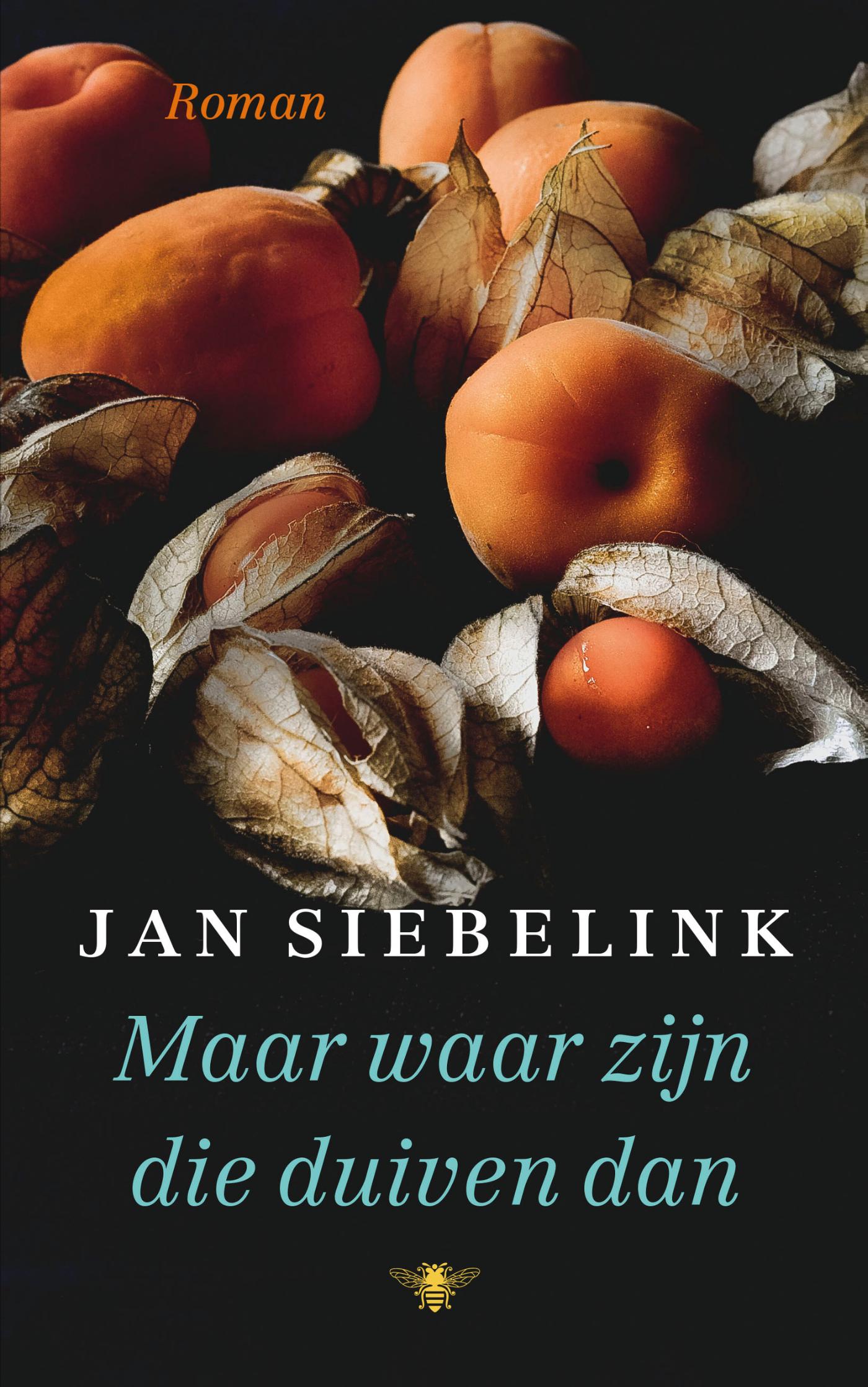 Omslag van Maar waar zijn die duiven dan