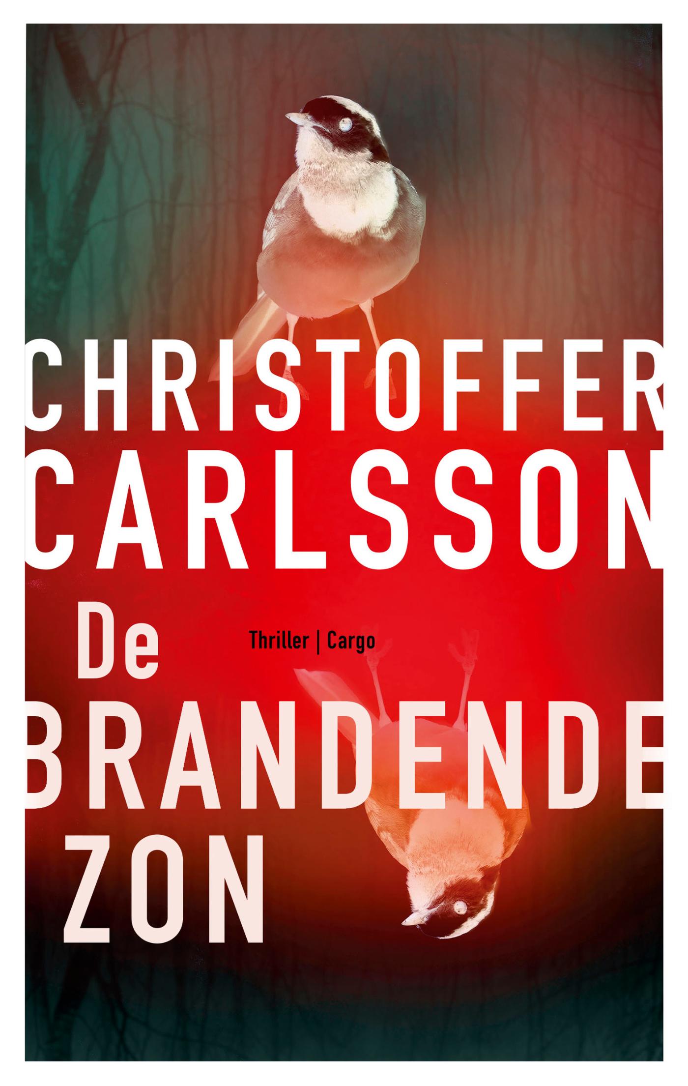 Omslag van De brandende zon