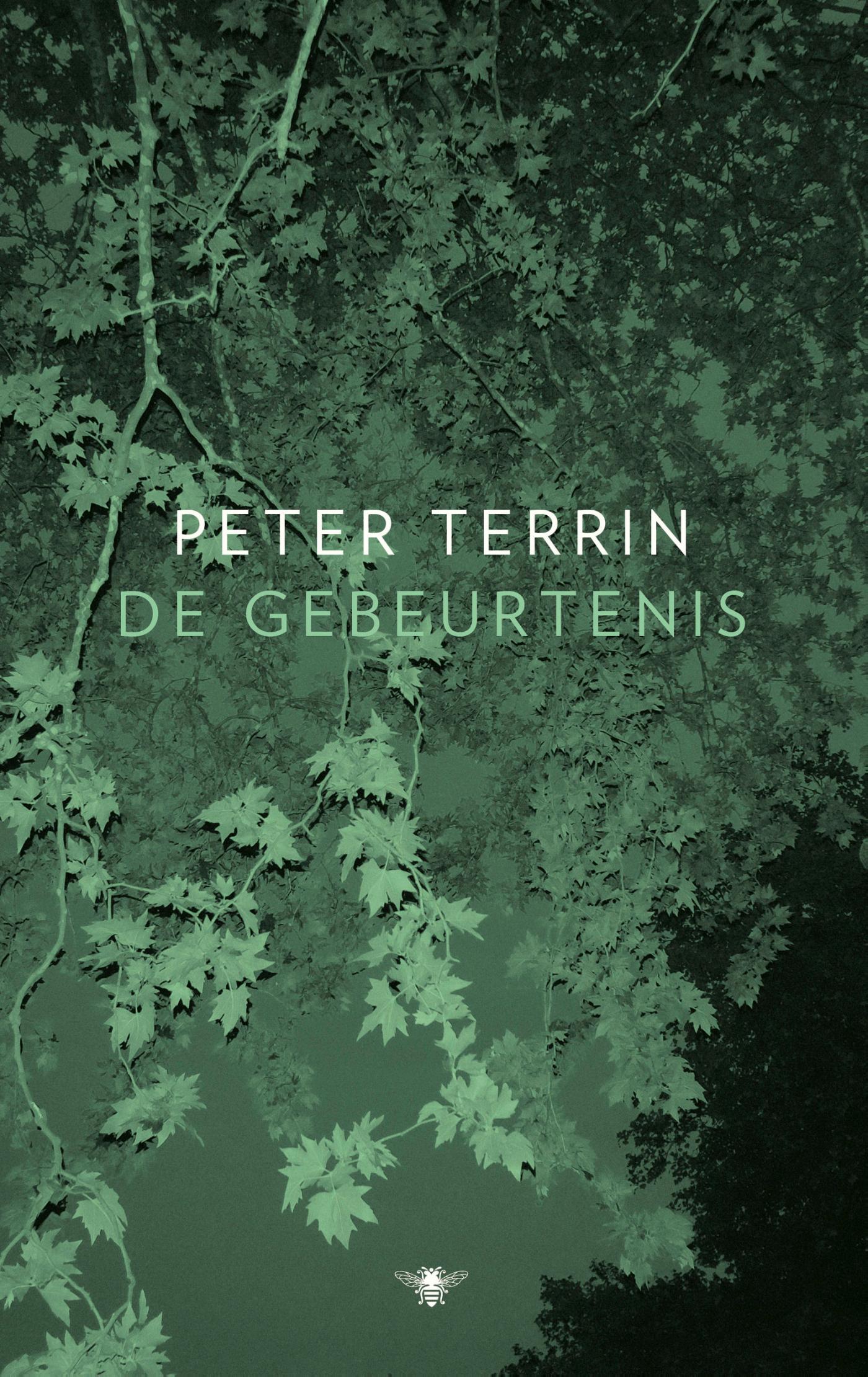 Omslag van De gebeurtenis