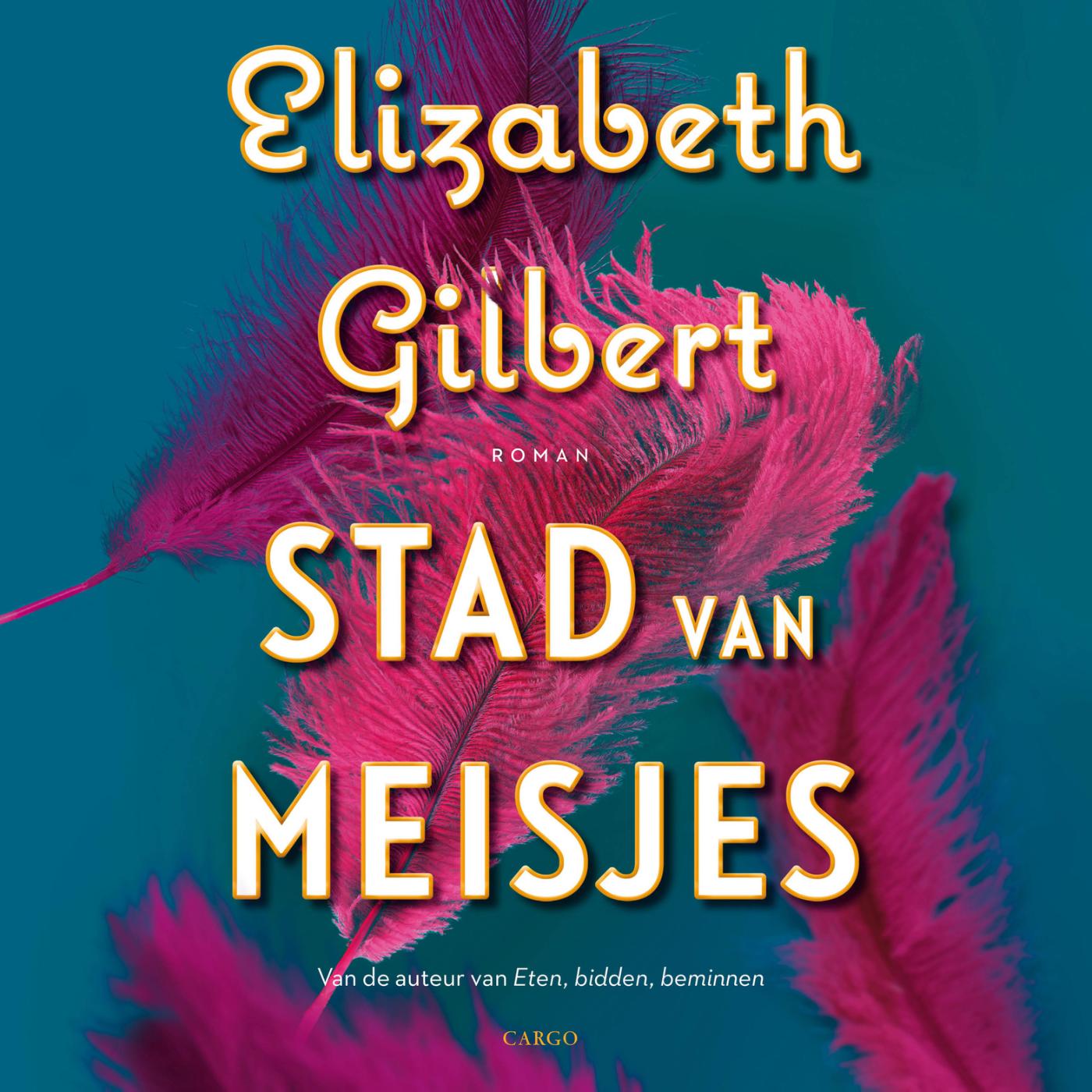 Omslag van Stad van meisjes
