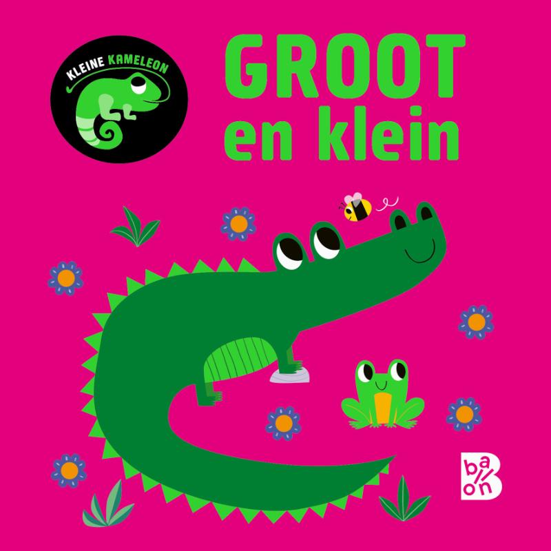 Omslag van Kleine kameleon