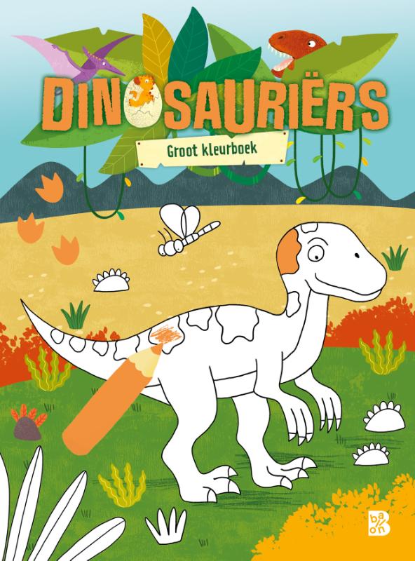 Omslag van Groot kleurboek