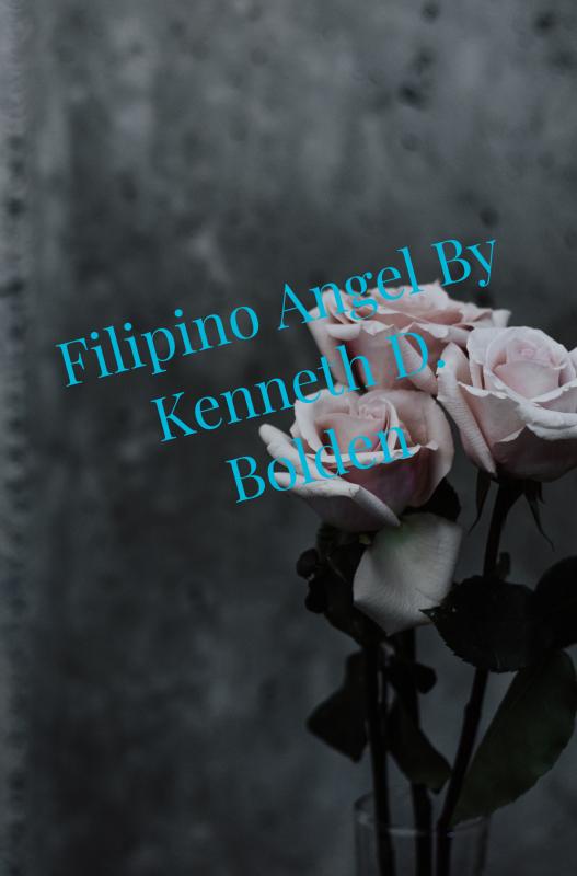 Omslag van Filipino Angel By Kenneth D. Bolden