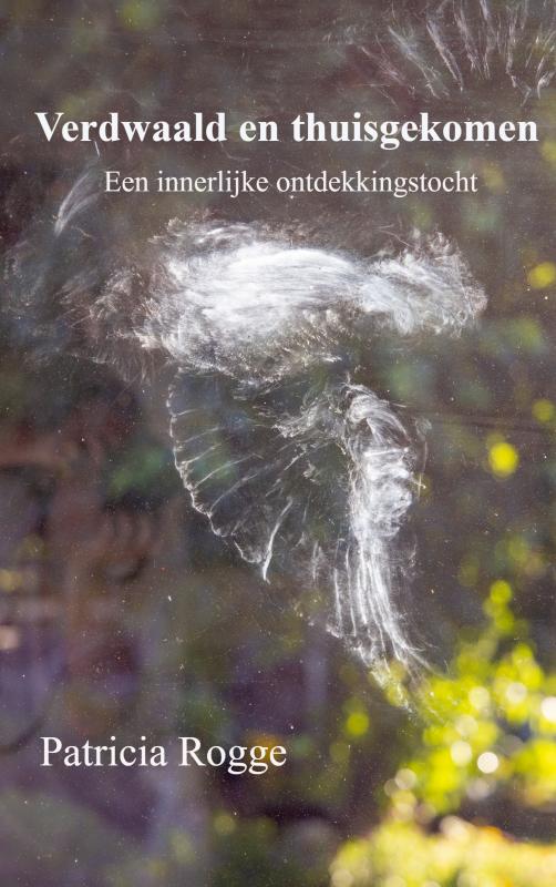 Omslag van Verdwaald en thuisgekomen