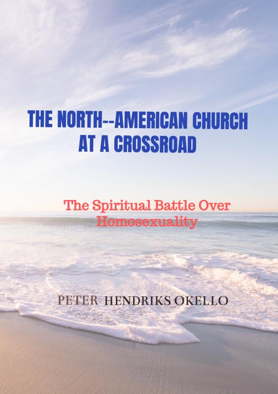 Omslag van THE NORTH--AMERICAN CHURCH AT A CROSSROAD