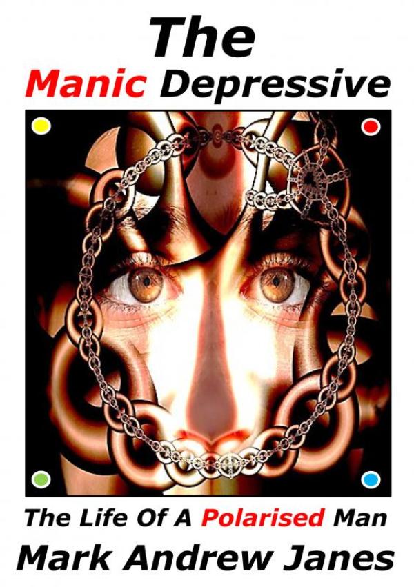 Omslag van The Manic Depressive