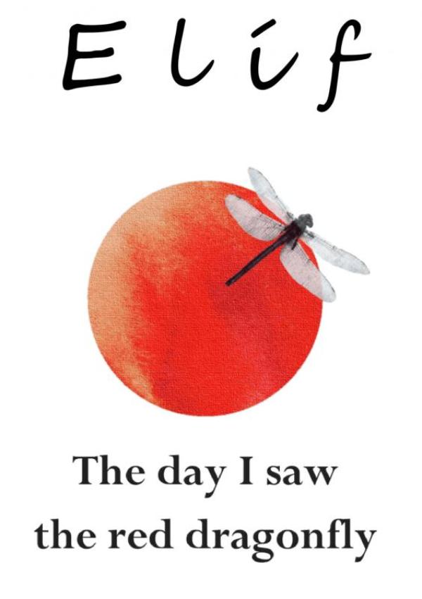 Omslag van The day I saw the red dragonfly