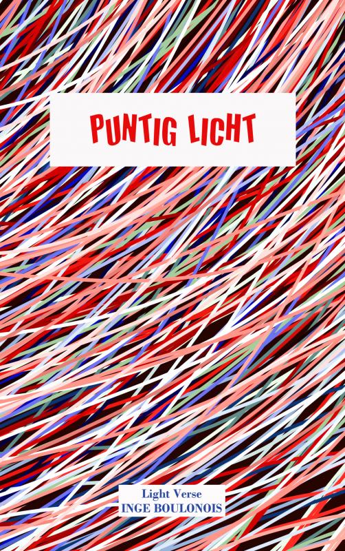 Omslag van Puntig licht