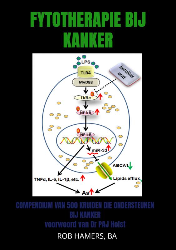 Omslag van Fytotherapie bij Kanker