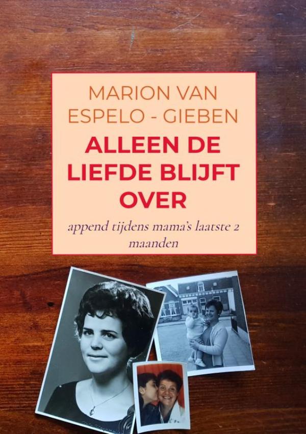 Omslag van ALLEEN DE LIEFDE BLIJFT OVER