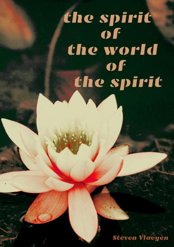 Omslag van the spirit of the world of the spirit