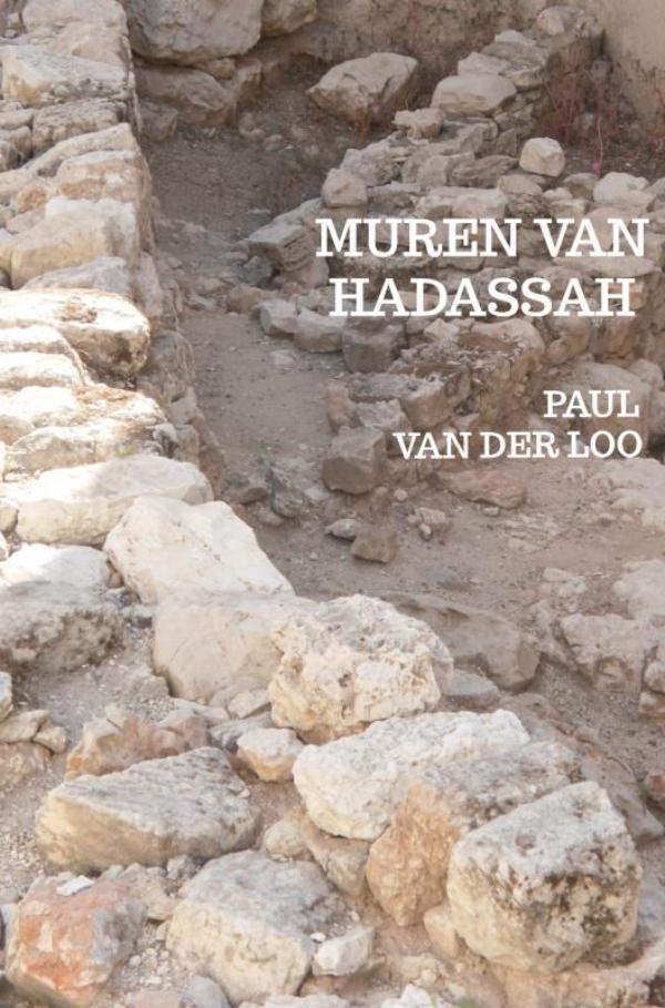Omslag van Muren van Hadassah
