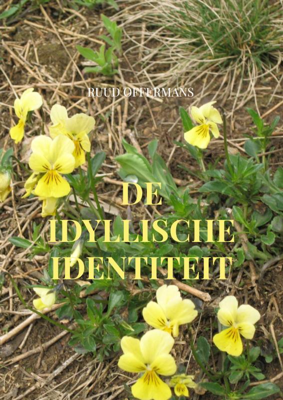 Omslag van De idyllische identiteit