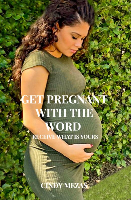 Omslag van Get pregnant with the Word