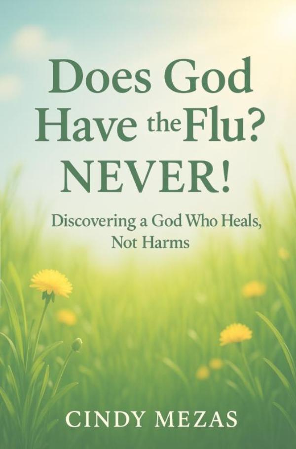 Omslag van Does God have the flu?