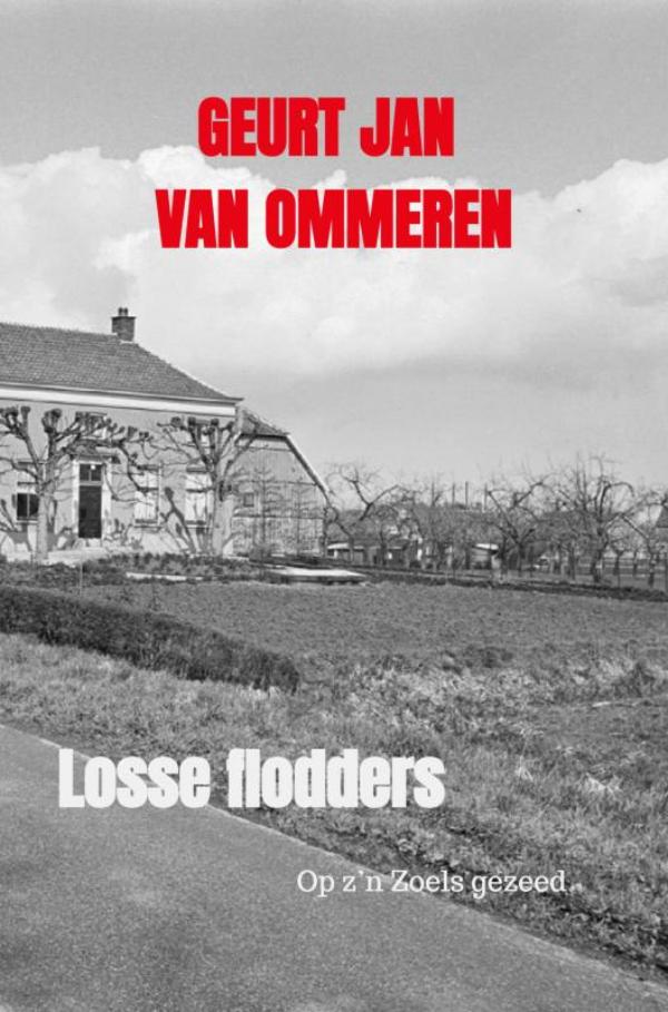 Omslag van Losse flodders