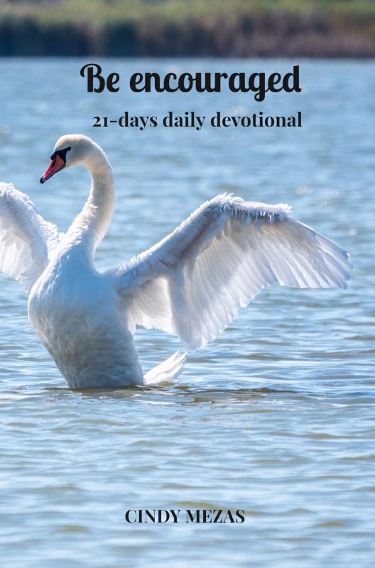 Omslag van Be encouraged