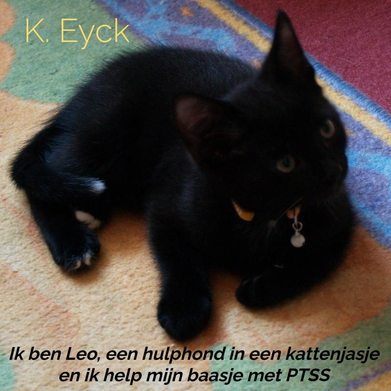 Omslag van Ik ben Leo, een hulphond in een kattenjasje en ik help mijn baasje met PTSS