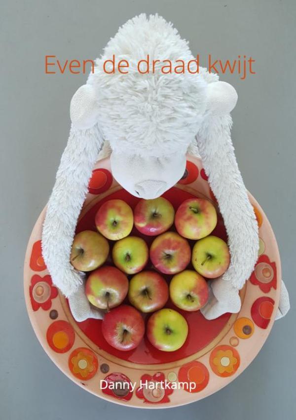 Omslag van Even de draad kwijt