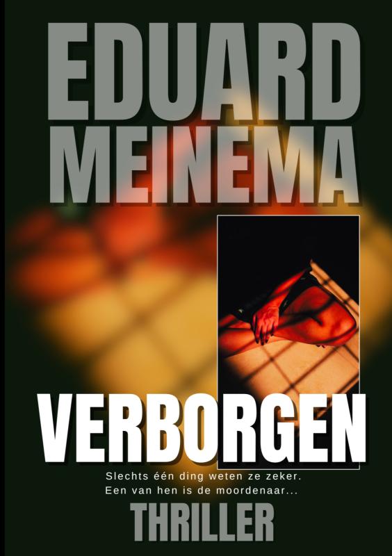 Omslag van Verborgen