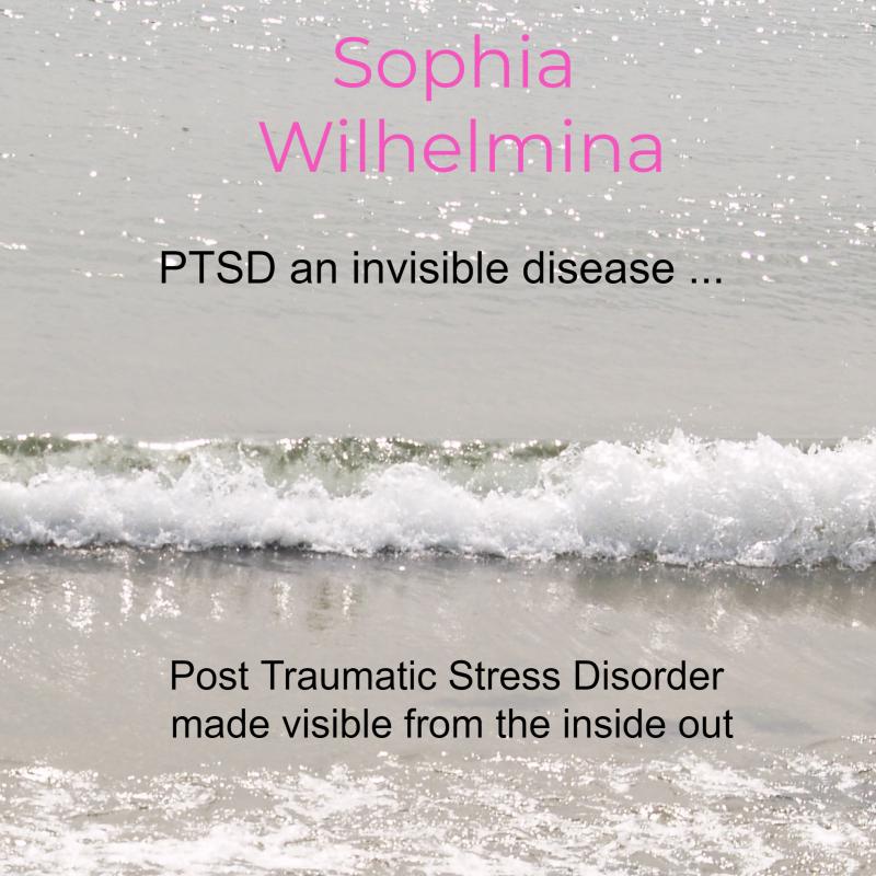 Omslag van PTSD an invisible disease ...