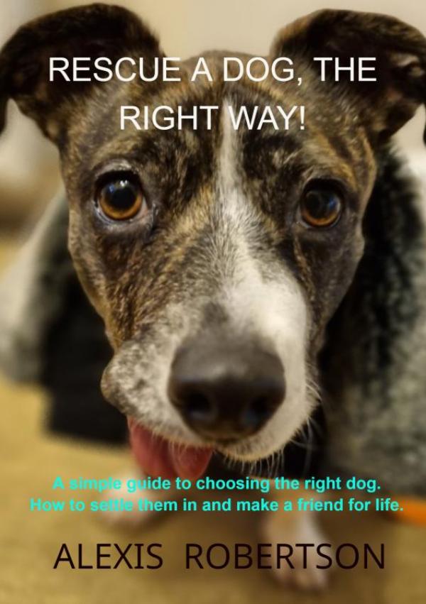 Omslag van Rescue a dog, the right way!