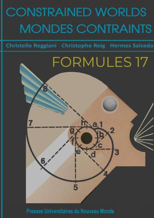 Omslag van Formules 17