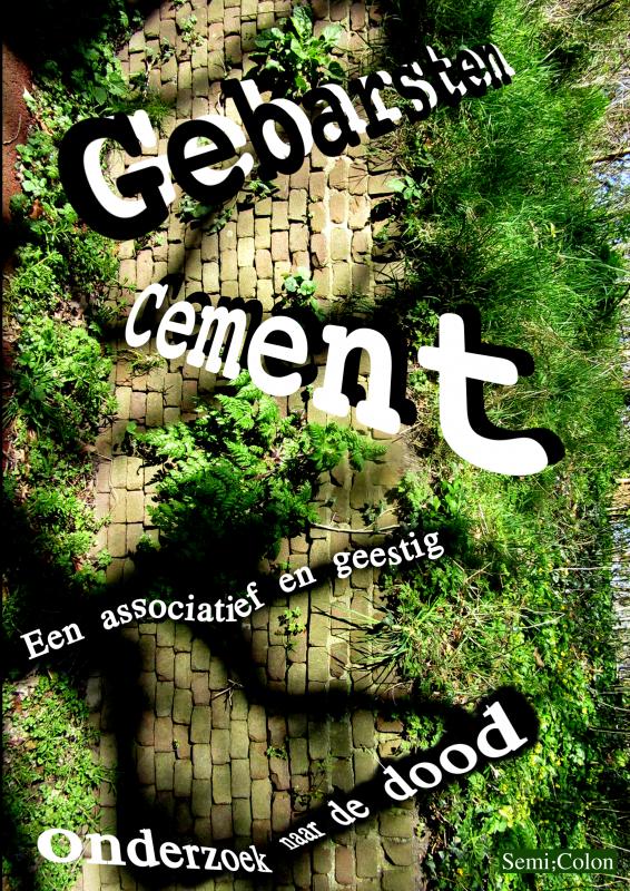 Omslag van Gebarsten Cement