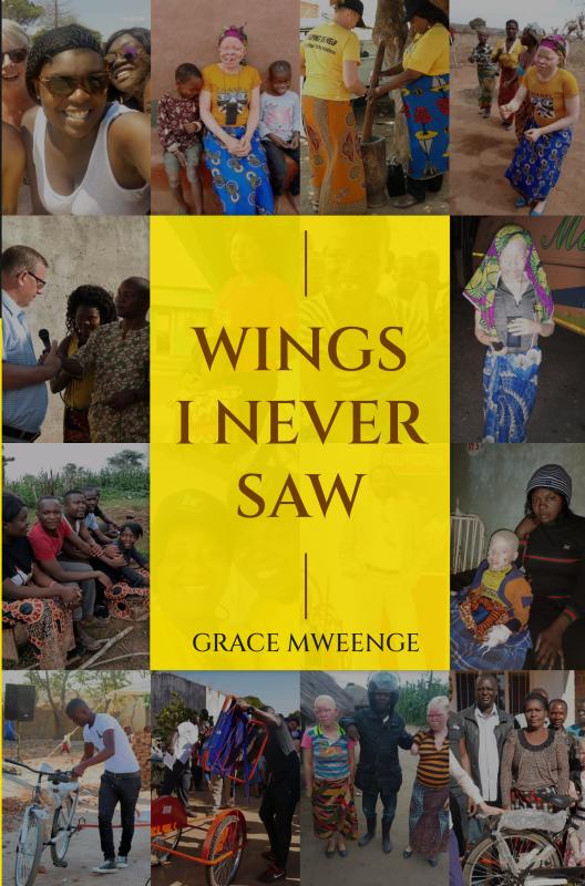 Omslag van Wings I never saw