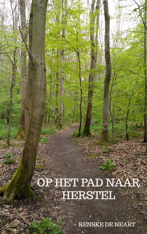 Omslag van Op het pad naar herstel