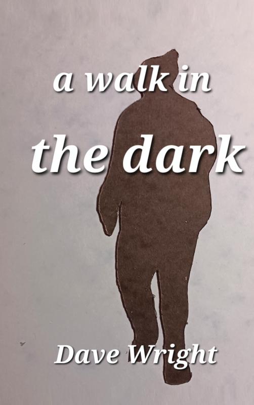 Omslag van A walk in the dark