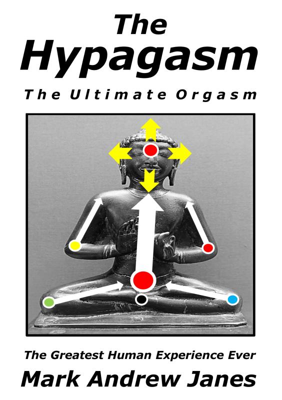 Omslag van The Hypagasm - The Ultimate Orgasm