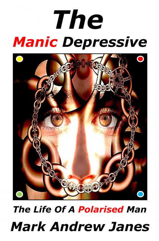 Omslag van The Manic Depressive