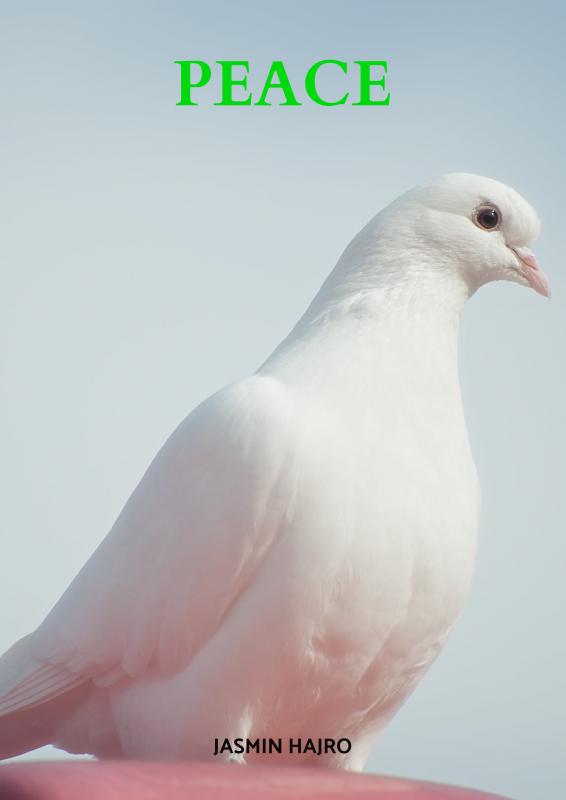 Omslag van Peace