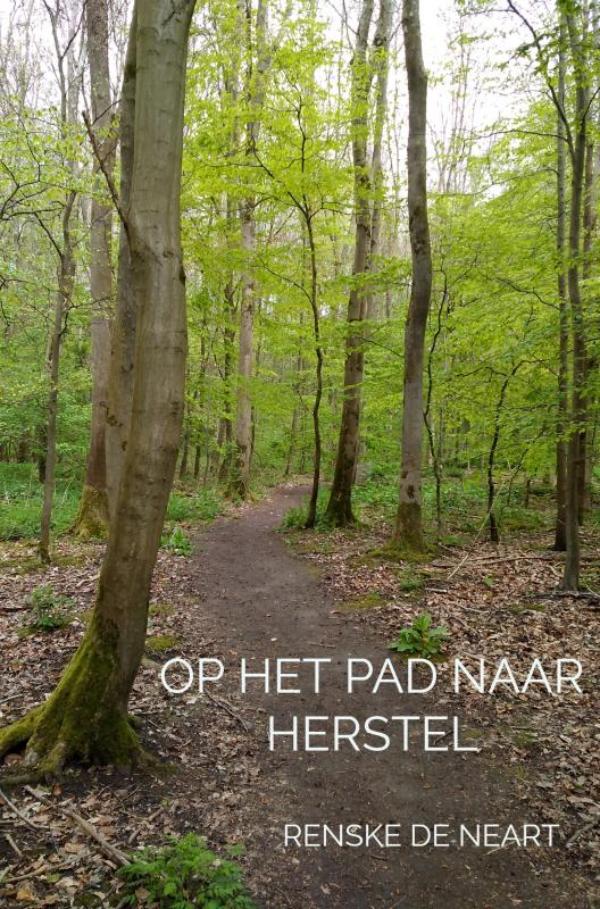 Omslag van Op het pad naar herstel