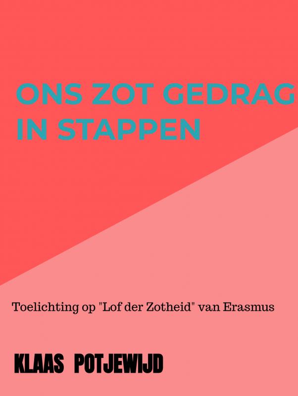 Omslag van Ons zot gedrag in stappen