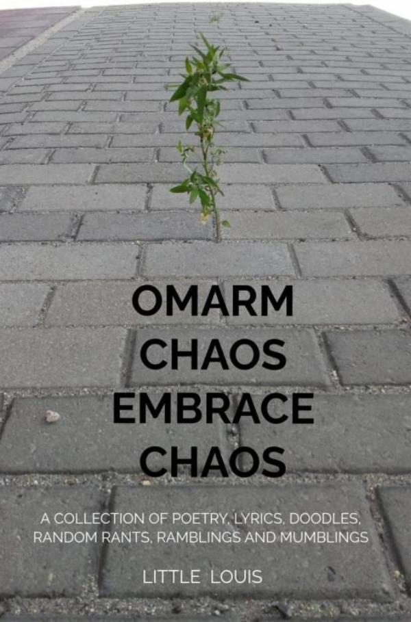 Omslag van Embrace Chaos - Omarm Chaos