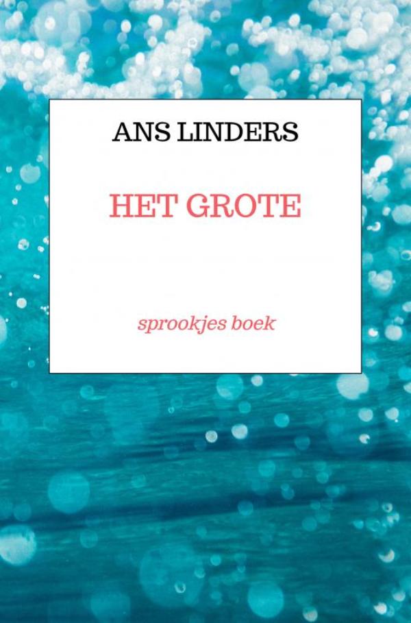 Omslag van het grote