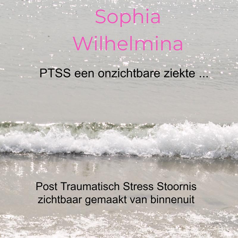 Omslag van PTSS een onzichtbare ziekte ...