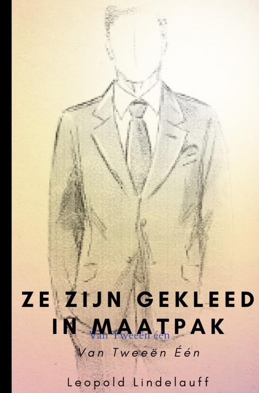 Omslag van Ze zijn gekleed in maatpak