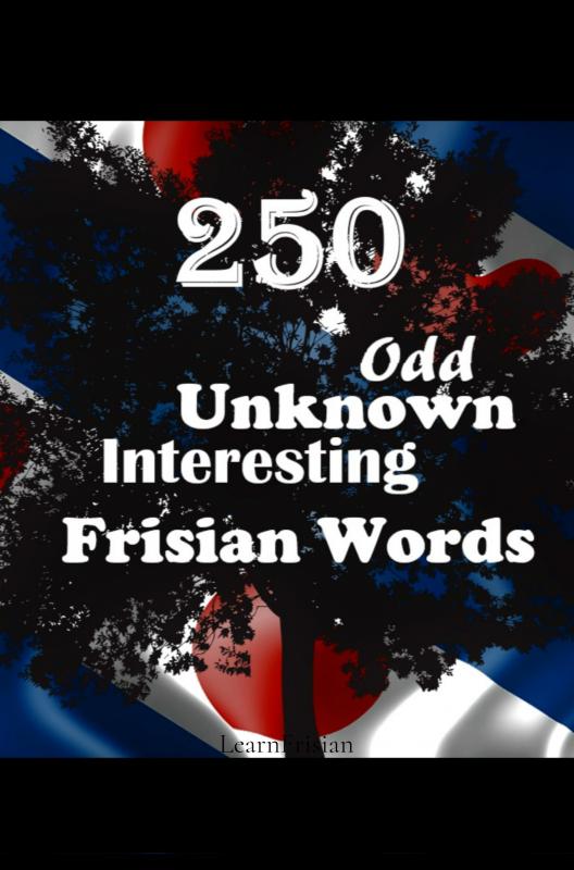 Omslag van 250 Odd, Unknown & Interesting Frisian Words