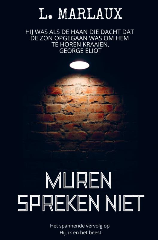 Omslag van Muren spreken niet