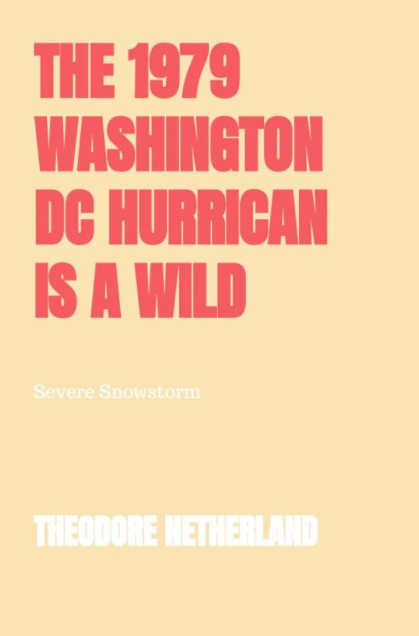 Omslag van The 1979 Washington DC Hurrican is a Wild Climate Occurrence Producing with it Freezing Conditions Roaring Breeze and Reduced Clarity.