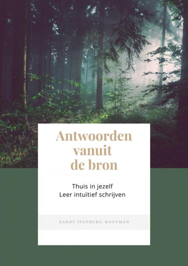 Omslag van Antwoorden vanuit de bron