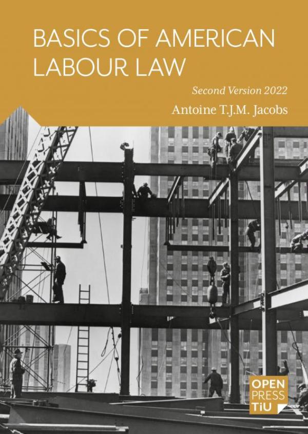 Omslag van Basics of American Labour Law