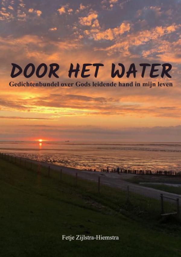 Omslag van Door het water